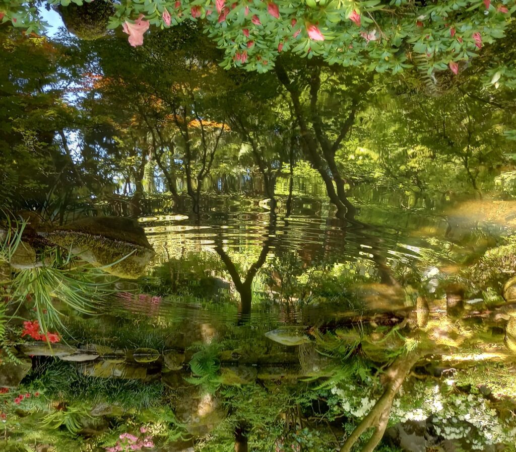 IMG_20250531_100159775_HDR~3
