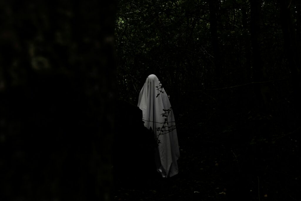 nik-HM7WDoFPl3Y-unsplash