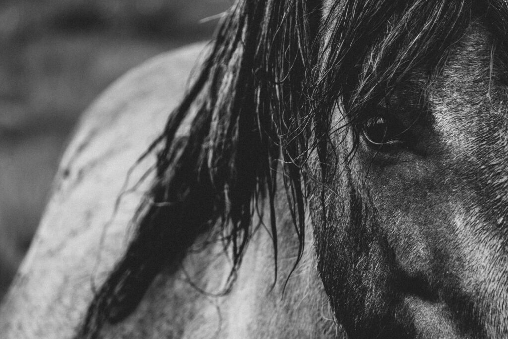 rex-pickar-K_cZncpBOyA-unsplash
